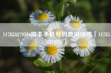 117853379586顺丰手机号码查询快递「117853379586」