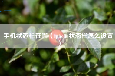 手机状态栏在哪（iphone状态栏怎么设置）