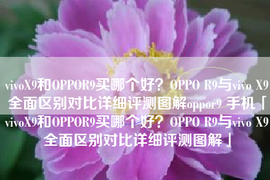 vivoX9和OPPOR9买哪个好?OPPO R9与vivo X9全面区别对比详细评测图解oppor9 手机「vivoX9和OPPOR9买哪个好?OPPO R9与vivo X9全面区别对比详细评测图解」 vivoX9和OPPOR9买哪个好?OPPO R9与vivo X9全面区别对比详细评测图解oppor9 手机「vivoX9和OPPOR9买哪个好?OPPO R9与vivo X9全面区别对比详细评测图解」