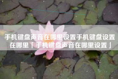 手机键盘声音在哪里设置手机键盘设置在哪里「手机键盘声音在哪里设置」