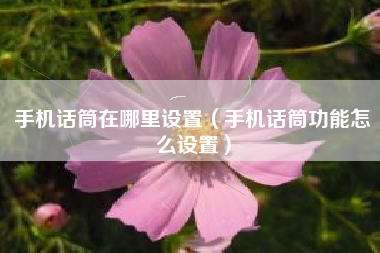 手机话筒在哪里设置（手机话筒功能怎么设置）