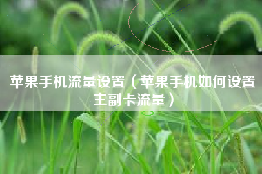苹果手机流量设置（苹果手机如何设置主副卡流量）