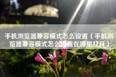 手机浏览器兼容模式怎么设置（手机浏览器兼容模式怎么设置在哪里打开）