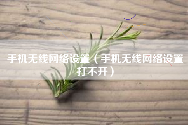 手机无线网络设置（手机无线网络设置打不开）