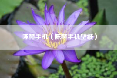 陈赫手机（陈赫手机壁纸）