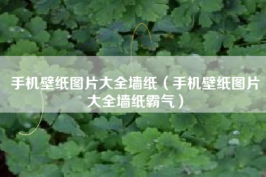手机壁纸图片大全墙纸（手机壁纸图片大全墙纸霸气）