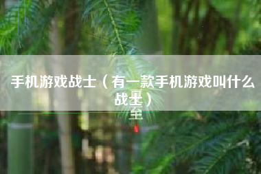 手机游戏战士（有一款手机游戏叫什么战士）
