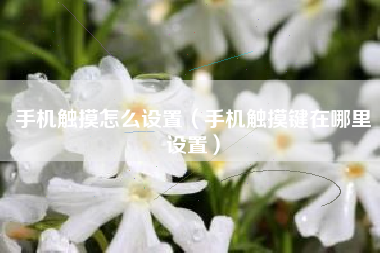 手机触摸怎么设置（手机触摸键在哪里设置）