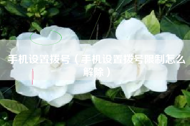 手机设置拨号（手机设置拨号限制怎么解除）