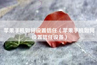苹果手机如何设置信任（苹果手机如何设置信任设备）