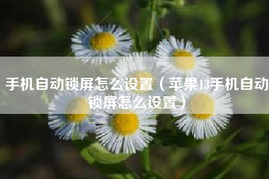 手机自动锁屏怎么设置（苹果13手机自动锁屏怎么设置）