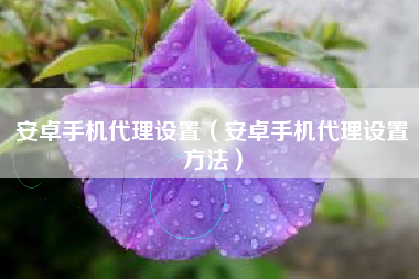 安卓手机代理设置（安卓手机代理设置方法）
