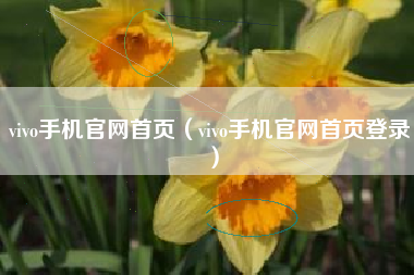 vivo手机官网首页（vivo手机官网首页登录）