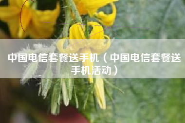 中国电信套餐送手机（中国电信套餐送手机活动）