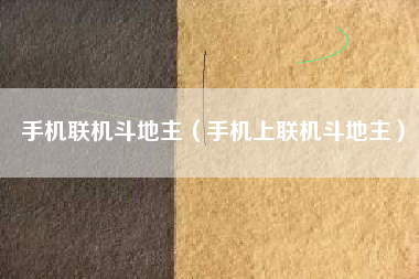 手机联机斗地主（手机上联机斗地主）