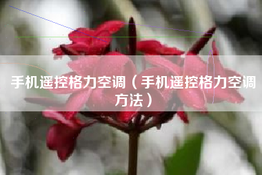 手机遥控格力空调（手机遥控格力空调方法）