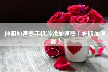 神明加速器手机游戏加速器「神明加速器」 神明加速器手机游戏加速器「神明加速器」
