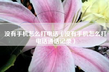 没有手机怎么打电话（没有手机怎么打电话通话记录）