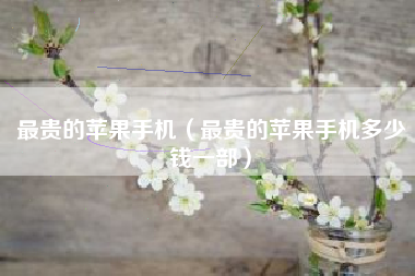 最贵的苹果手机（最贵的苹果手机多少钱一部）