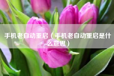 手机老自动重启（手机老自动重启是什么意思）