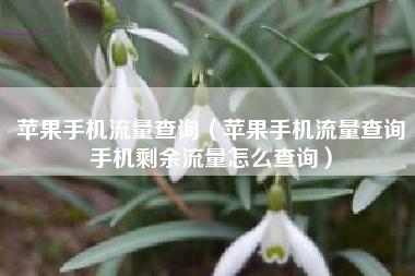 苹果手机流量查询（苹果手机流量查询手机剩余流量怎么查询）