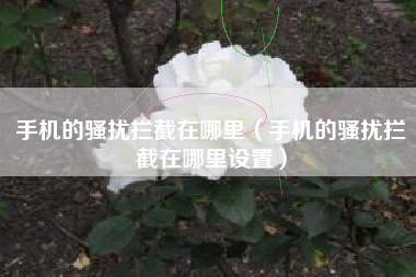 手机的骚扰拦截在哪里（手机的骚扰拦截在哪里设置）