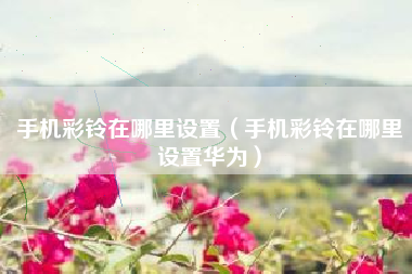 手机彩铃在哪里设置（手机彩铃在哪里设置华为）