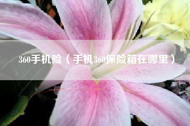 360手机险（手机360保险箱在哪里）