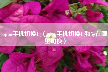 oppo手机切换4g（oppo手机切换4g和5g在哪里切换）