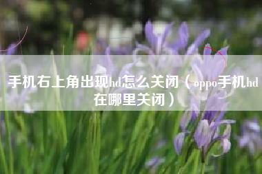 手机右上角出现hd怎么关闭（oppo手机hd在哪里关闭）