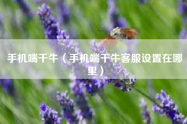手机端千牛（手机端千牛客服设置在哪里）