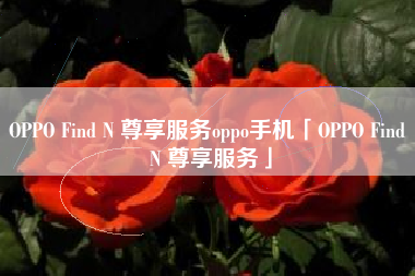 OPPO Find N 尊享服务oppo手机「OPPO Find N 尊享服务」