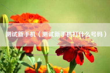 测试新手机（测试新手机打什么号码）
