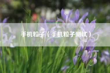手机粒子（手机粒子测试）