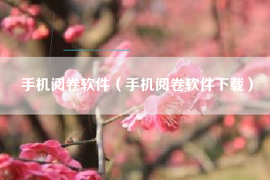 手机阅卷软件（手机阅卷软件下载）