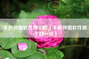手机拼图软件哪个好（手机拼图软件哪个好一点）