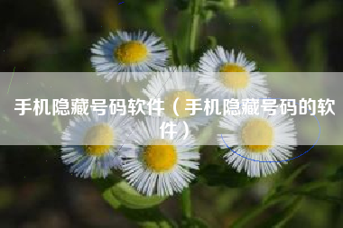 手机隐藏号码软件（手机隐藏号码的软件）