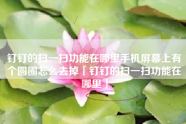 钉钉的扫一扫功能在哪里手机屏幕上有个圆圈怎么去掉「钉钉的扫一扫功能在哪里」