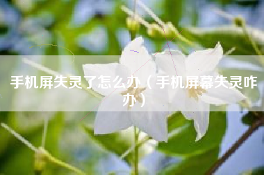 手机屏失灵了怎么办（手机屏幕失灵咋办）