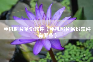 手机照片备份软件（手机照片备份软件有哪些）