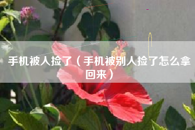 手机被人捡了（手机被别人捡了怎么拿回来）