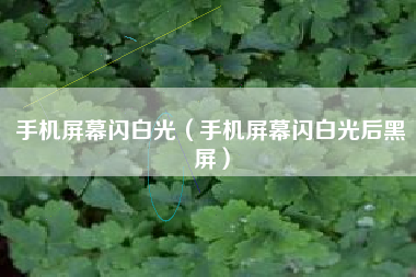 手机屏幕闪白光（手机屏幕闪白光后黑屏）