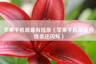 苹果手机屏幕有线条（苹果手机屏幕有线条还闪烁）