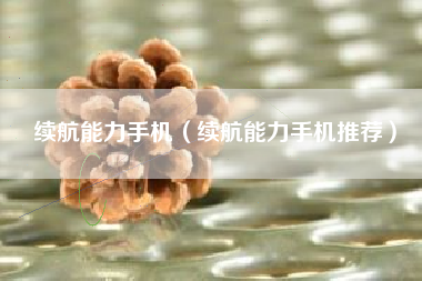 续航能力手机（续航能力手机推荐）