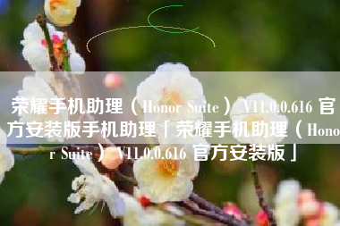 荣耀手机助理（Honor Suite） V11.0.0.616 官方安装版手机助理「荣耀手机助理（Honor Suite） V11.0.0.616 官方安装版」