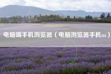 电脑端手机浏览器（电脑浏览器手机ua）