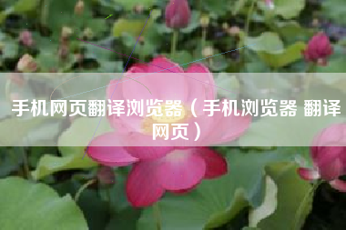 手机网页翻译浏览器（手机浏览器 翻译网页）