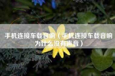 手机连接车载音响（手机连接车载音响为什么没有声音）