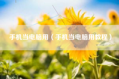 手机当电脑用（手机当电脑用教程）