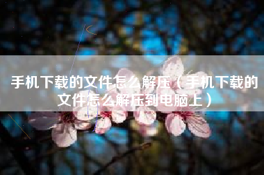 手机下载的文件怎么解压（手机下载的文件怎么解压到电脑上）